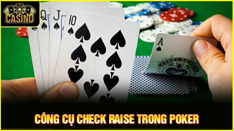 Check Raise là gì trong Poker? Vị trí & chiến thuật đánh chuẩn 18